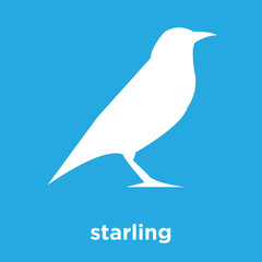 starling icon isolated on blue background
