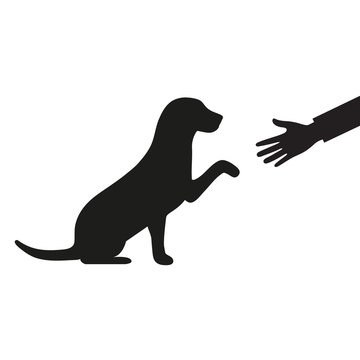 a dog gives a paw to a man on a white background