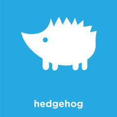 hedgehog icon isolated on blue background