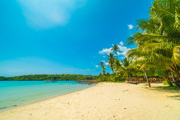 Beautiful tropical beach and sea with coconut palm tree in paradise island © siraphol
