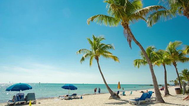 Florida Beaches Images Browse 227 796 Stock Photos Vectors and