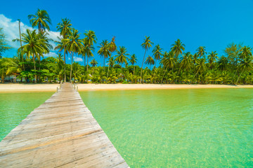 Wooden pier or bridge with tropical beach and sea in paradise island