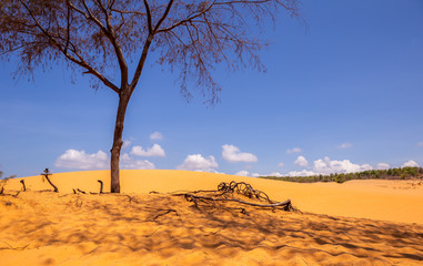 Desert and streaks in Mui Ne, Vietnam is a summer tour where Asian people can enjoy the place.