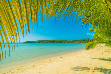 Fototapeta na wymiar Beautiful tropical beach and sea with coconut palm tree in paradise island