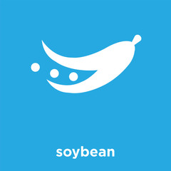 soybean icon isolated on blue background