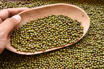 close up of green bean for background 