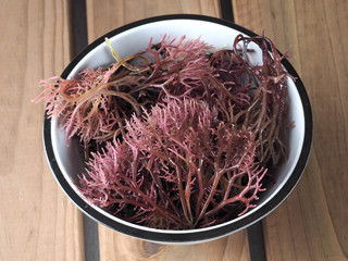 Gigartina Pistillata    Edible red seaweed in the family Gigartina. Binomial name: Gigartina Pistillata.  © efesan