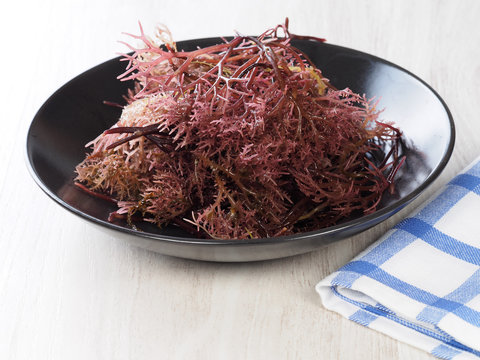 Gigartina Pistillata

Edible red seaweed in the family Gigartina. Binomial name: Gigartina Pistillata. 