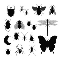 Vector illustration set of Insects, collection of different insects silhouettes, fly, bee, ticks and bug, spider on white background.