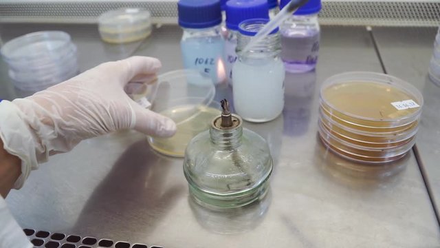 Bunsen Burner flame test in the science laboratory. Clip. Flaming a tube in the microbiology laboratory