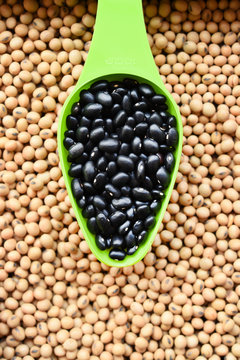 close up of black bean in spoon on soybean for background
