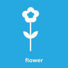 flower icon isolated on blue background