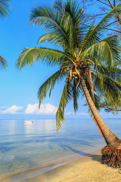 Fototapeta Beautiful beach of Sihanoukville, Cambodia.