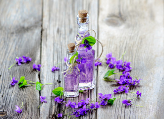 Produkte aus Veilchen - Viola; Duftveilchen; Blüten; Kräuter; Naturheilkunde; Medizin; Homöopathie;