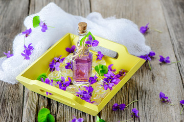 Produkte aus Veilchen - Viola; Duftveilchen; Blüten; Kräuter; Naturheilkunde; Medizin;...