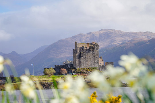The Eilean Donan Castle with Flower Foreground, Highland, Scotland