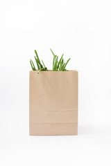 green onion in eco-package on white background. spring natural vitamins