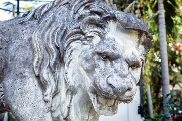 Statue of a lion