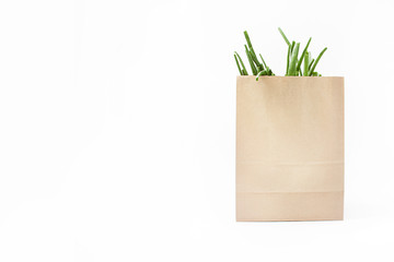 green onion in eco-package on white background. spring natural vitamins