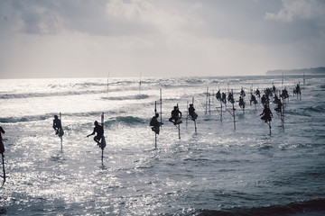 Stilt Fisherman In The Sea