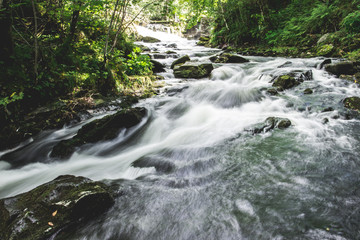 Small river rushing through a green forest on a warm summer.s day