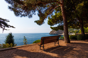 Fototapeta na wymiar bench in the park by the sea, Crimea