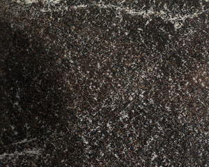 Garnet amphibolite. Texture.