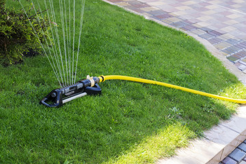 .Automatic watering of the lawn near the yard