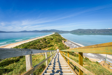 Amazing wooden view point over small green island sandy beach shore with turquoise blue water of southern ocean on a warm sunny blue sky day, The Neck, Bruny Island, Tasmania, Australia - 11-18-2017 - obrazy, fototapety, plakaty