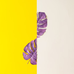 Purple painted tropical leaf on white and yellow background. Minimal summer exotic concept with copy space.