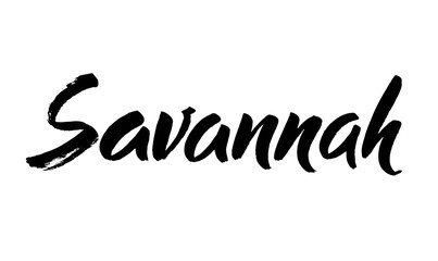 savannah hand drawn lettering isolated on the white background. Typography poster. Usable as background. Modern brush calligraphy. Vector