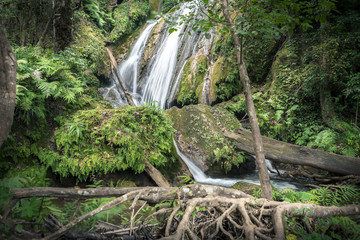 Waterfall in northern of lao