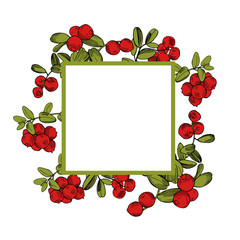 Hand drawn forest berry. Lingonberry. Cowberry.Vector frame