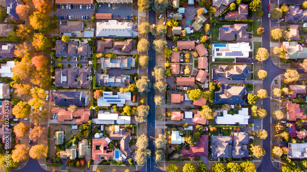 Wall mural Aerial view of a green leafy suburb - Wall murals