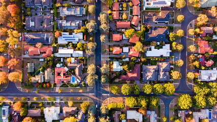 Aerial view of a green leafy suburb