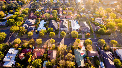 Aerial view of a green leafy suburb - obrazy, fototapety, plakaty