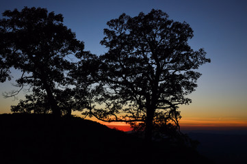 Fototapeta na wymiar Sunset over the Shenandoah Valley with trees in silhouette