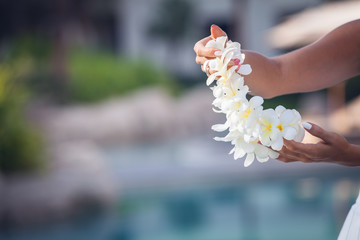 flower lei garland of white plumeria flowers