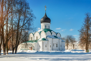 Троицкий собор в Слободе Trinity Cathedral  in the Alexander Sloboda