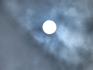 sole