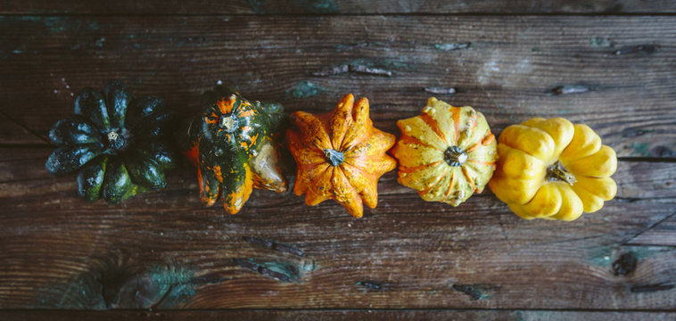Row of five Ornamental pumpkins on wood