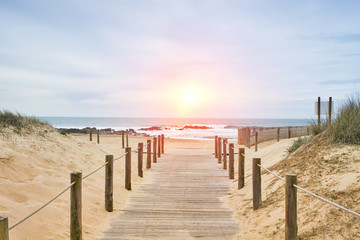 Wooden path on the beach with ocean view - obrazy, fototapety, plakaty