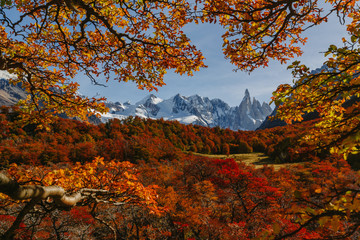 Bright colors of autumn and landscapes of the park Los Glaciares. Fall in Patagonia, the Argentine side