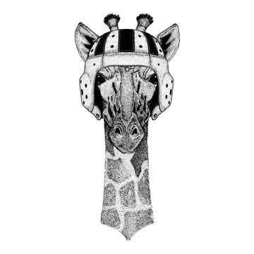 Cool animal wearing rugby helmet Extreme sport Camelopard, giraffe Hand drawn image for tattoo, emblem, badge, logo, patch