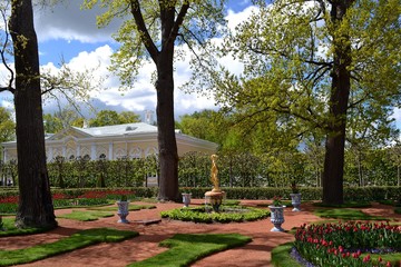 Декоративный сад возле дворца Монплезир (Петергоф)