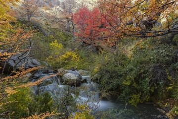 Obraz na płótnie Canvas Autumn postcard from Patagonia