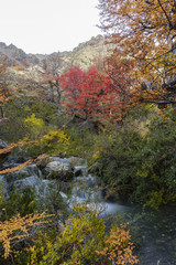 Autumn postcard from Patagonia