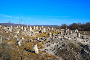 Pobiti Kamani, The Stone Forest Natural Reserve in Bulgaria