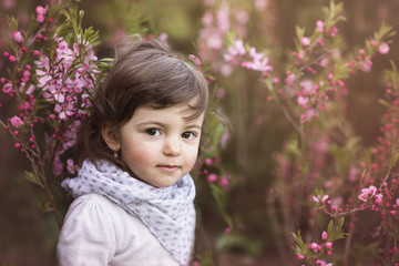 toddler girl spring outdoor portrait 