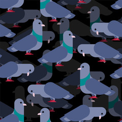 Dove pattern. Pigeon seamless background. Vector illustration